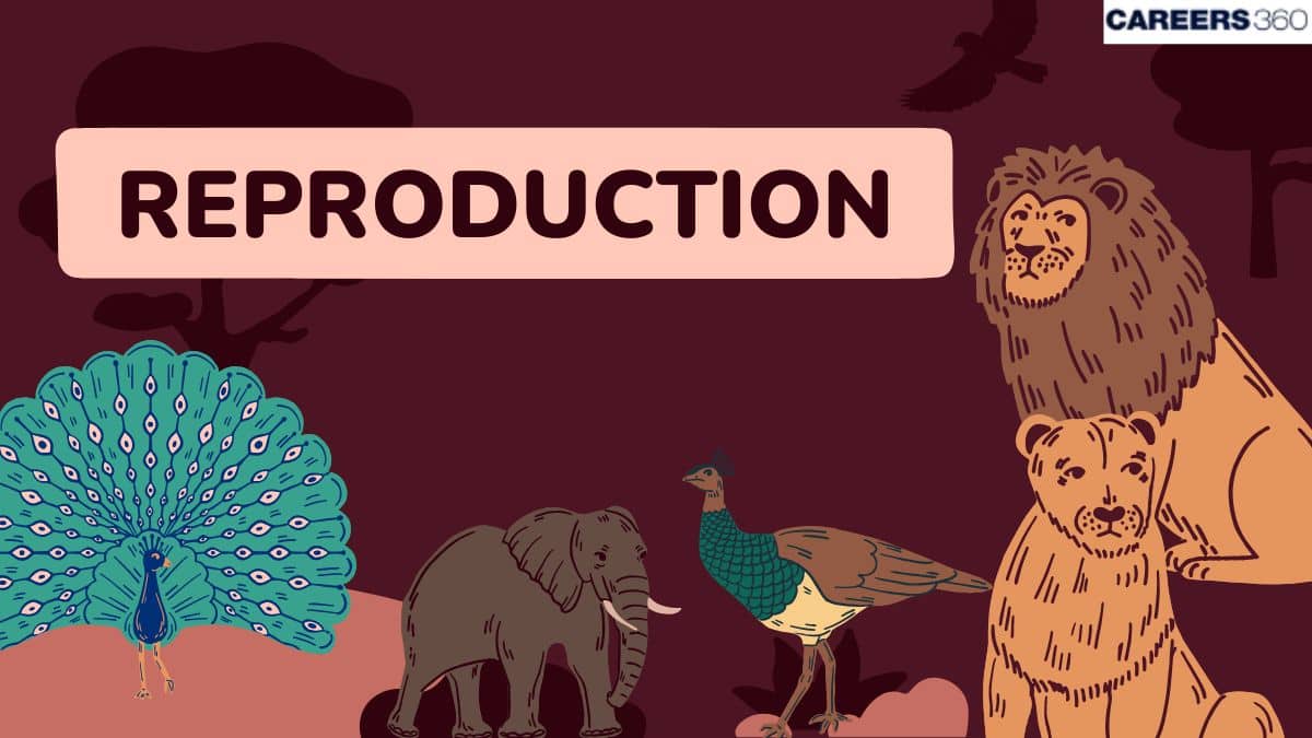 Reproduction: Definition, Examples, Types, Importance, Types Of Reproduction